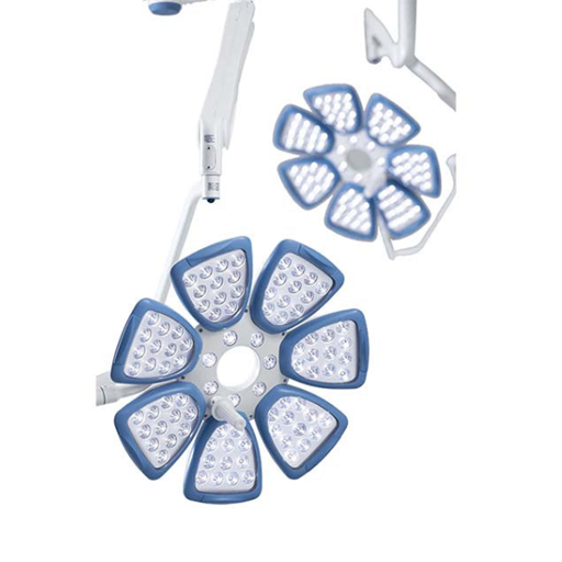 Bayer Stalient 2 nòng - logo (59).png